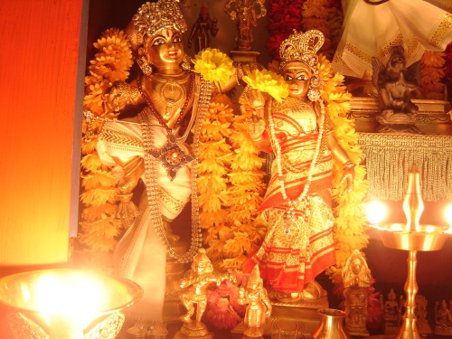 Diwali puja at my household shrine 