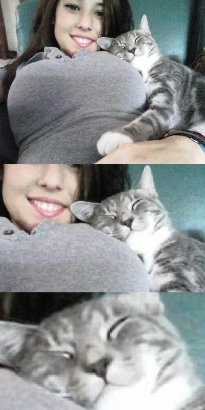 jaidefinichon:  :3 