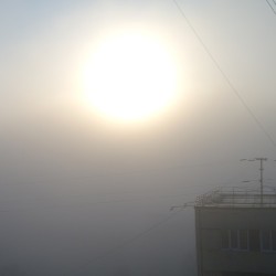 5:30 am today #fog #mist #dawn #dawning #sun