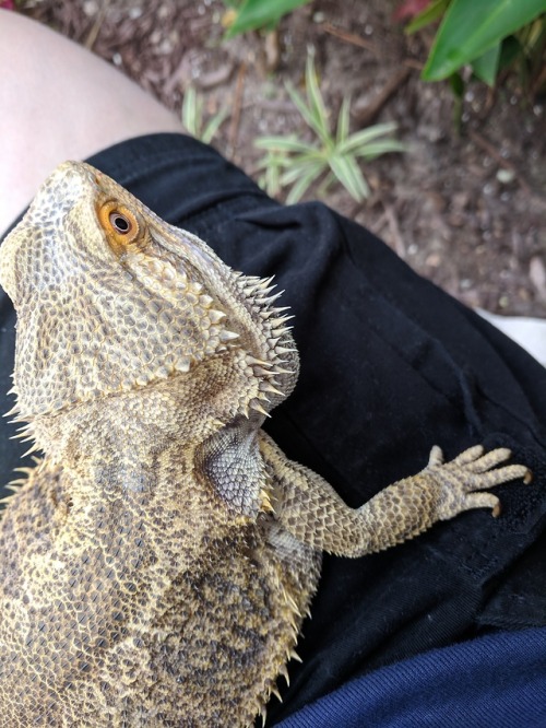 thingsonmydragon:A pretty boy’s orange eyeliner & plentiful speckles