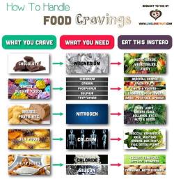 veggiesforvitality:  An excellent guide to