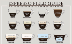 americaninfographic:  Espresso Guide