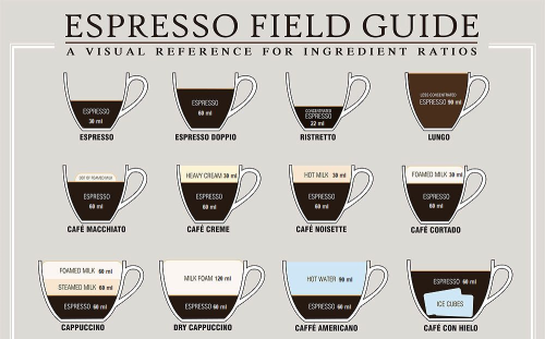 XXX americaninfographic:  Espresso Guide photo