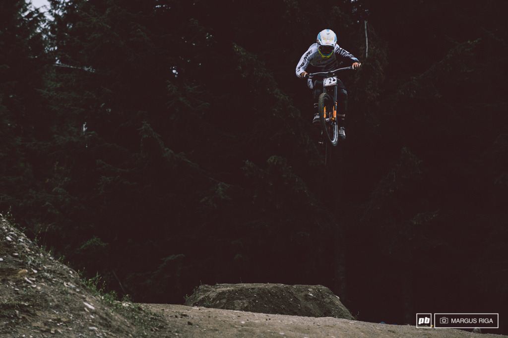 The Forest is my Playground
