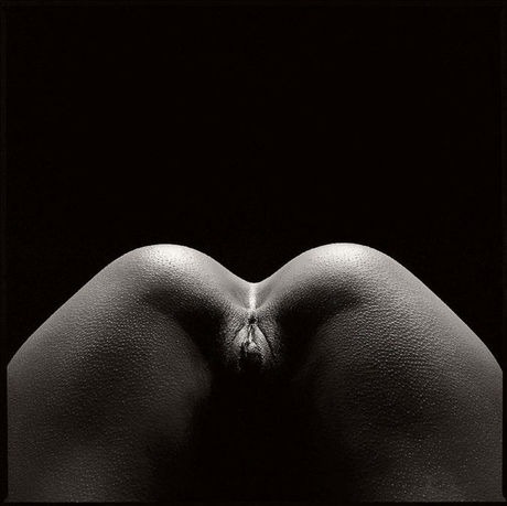 forartorporn: in shadows  