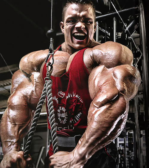 deadlifts-and-derrida:  (excerpt from a company training document)Here we see a client experiencing a positive feedback loop - one of the dangers of the treatment. Working the muscles causes physical and emotional pleasure in addition to rapid muscular