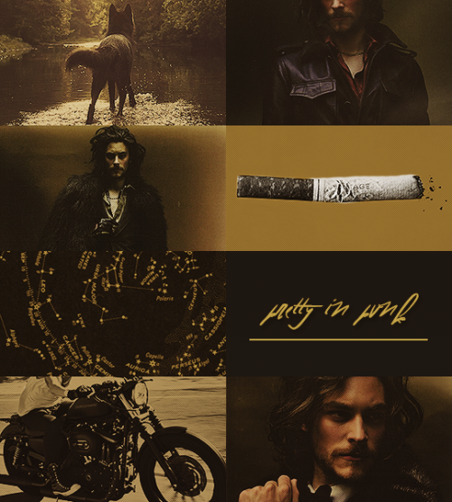 veelawriter: hp aesthetic → sirius black