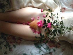 coconutdreamin:  coconutdreamin:  Ruby Slipper by Diana Schenkel / Columbus, OH September 2014  💘 