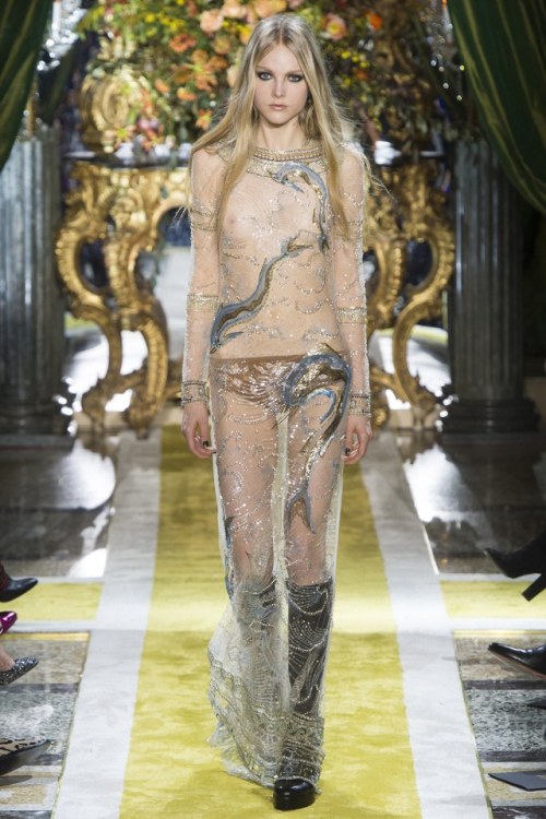 lumedunsorriso:Kirin Dejonckheere for Roberto Cavalli F/W 2016