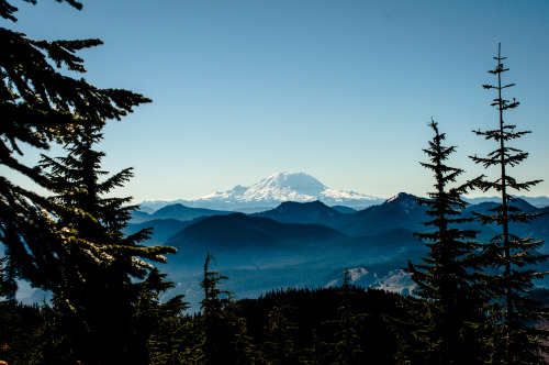 maryandhercamera:  Ignoring my responsibilities and editing photos. Trail to Kendall Katwalk, Snoqualmie Pass, WA 