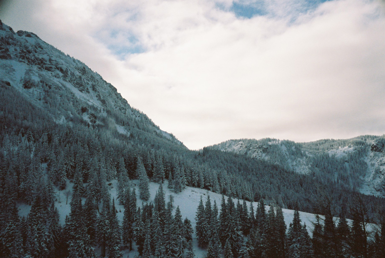 alcyere:  Untitled (by Michael Dietrich) 