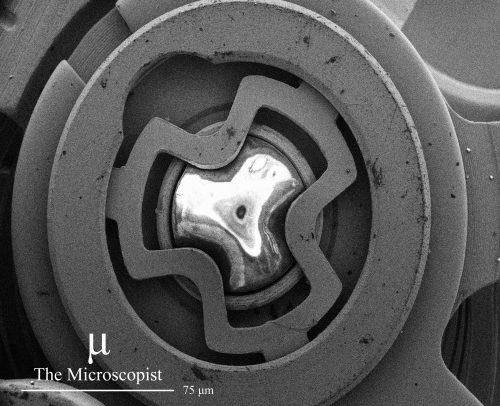 themicroscopist:  Optical and scanning electron microscope images, as well as elemental maps of a ge