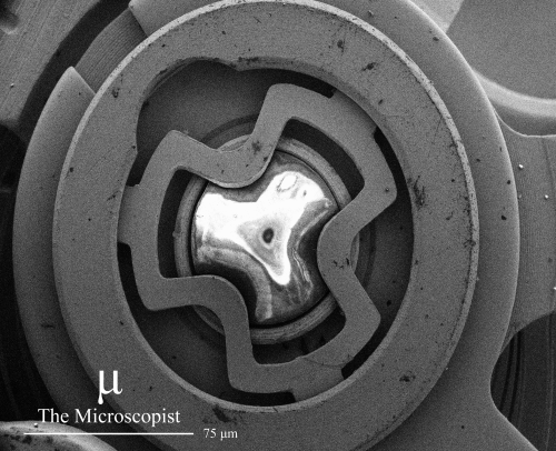 themicroscopist:Optical and scanning electron microscope images, as well as elemental maps of a ge