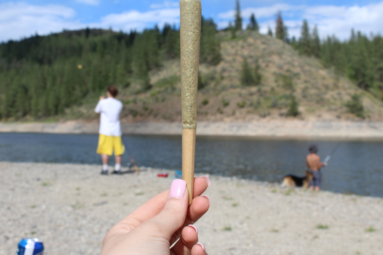 stayhigh-laylow:  WHEN YOU COME PREPARED….
