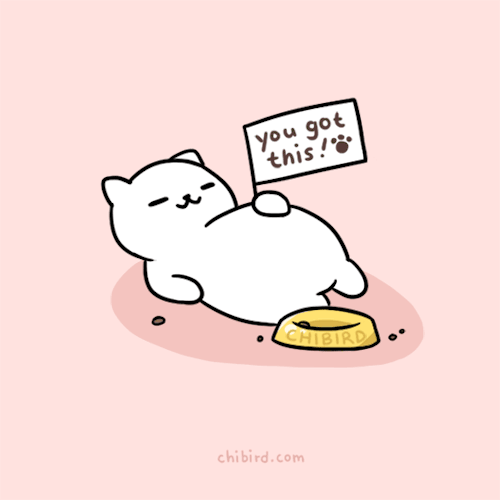 chibird:  A happy, full Tubbs from Neko Atsume cheering you on! 