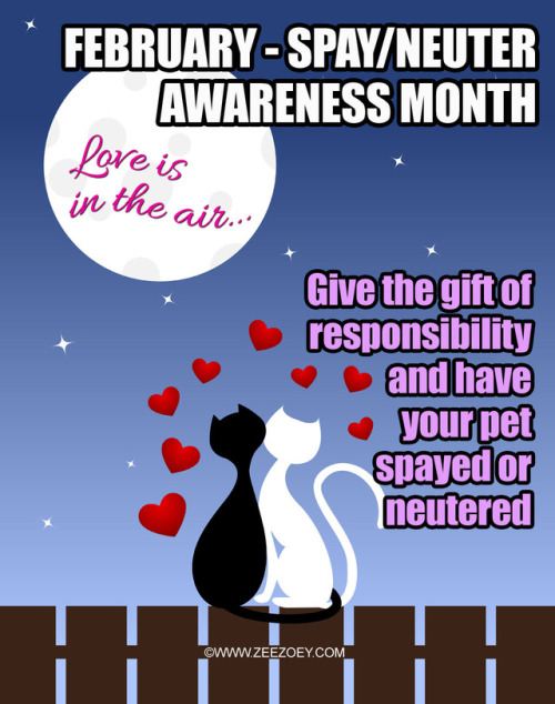 lakenormanhumanenc: February is Spay/Neuter Awareness Month Check out all the options in your commun