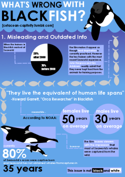 huggable-rainbow-geek-girl:  While I’ll admit that I’m uncomfortable with the idea of whale captivity, I think that the least you can do if you’re going to take a stand on something is properly educate yourself. As a filmmaker I hated Blackfish.