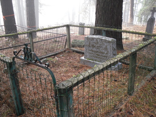 thizzle-dance:Roslyn Cemetery One of My favorite places to go it’s just so peaceful