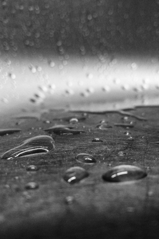 photo by © mustafakilinc-fotograf-ca #black and white #abstract-challenge #photographers on tumblr #original photographers #artists on tumblr #original photography#b&w#abstract#abstract photography #shallow depth of field  #depth of field #water drops#drops#focus#bokeh #black and white photography #bnw photography#bwphotography#abstracart#C220514
