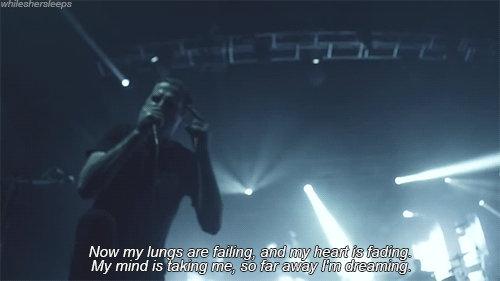 Sex whileshersleeps:  The Amity Affliction // pictures