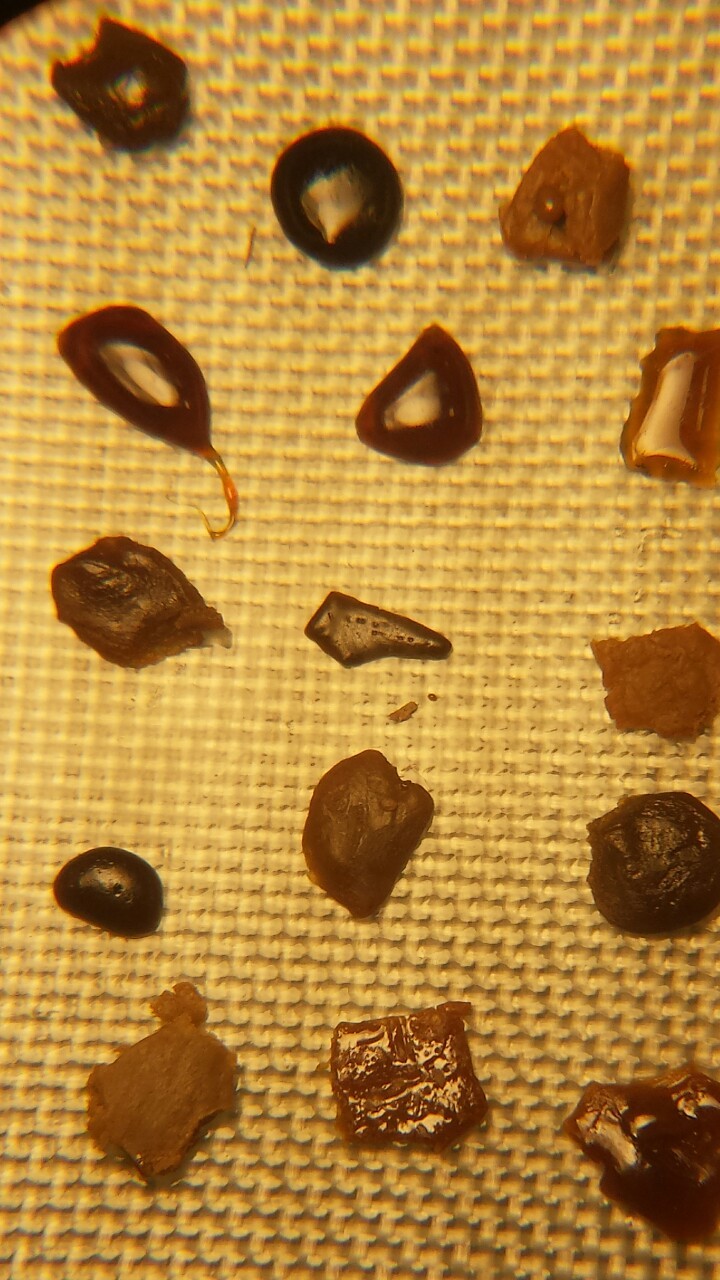 thedabgod710:  I’m a flavor savor