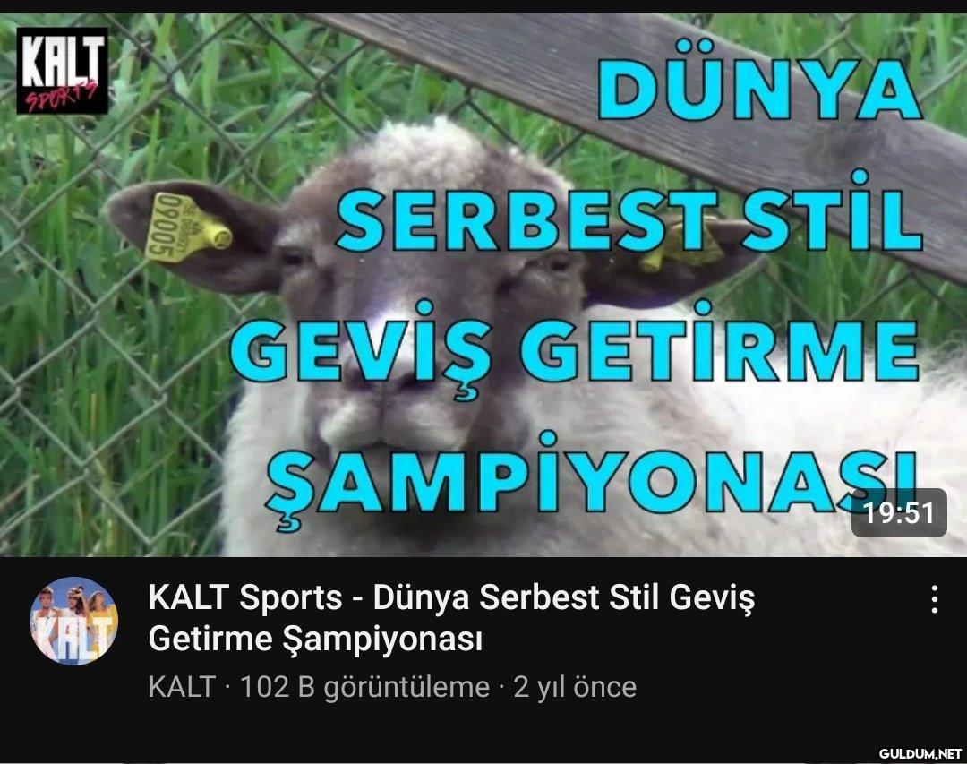 bunu sunsa sunsa kalt...