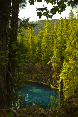 intothegreatunknown:  Blue Pool | Oregon,