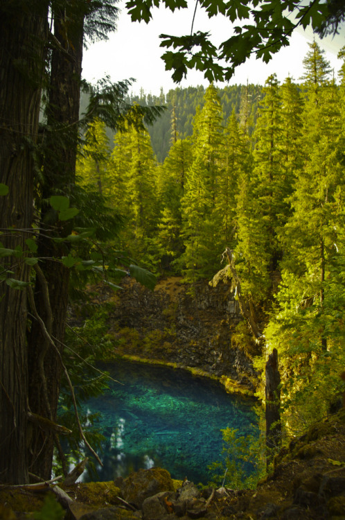intothegreatunknown:  Blue Pool | Oregon, USA (by cassandra.stemler) 