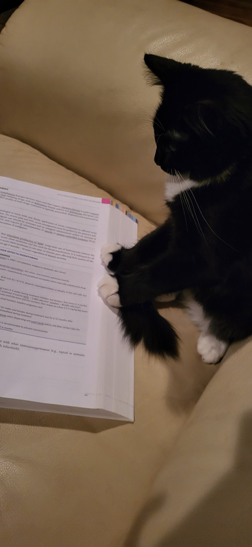 Boss Says Studying Is Important