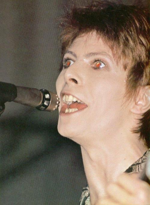 yourfluffiestnightmare: glitterypin: The 10 most beautiful photos of David Bowie it’s back!