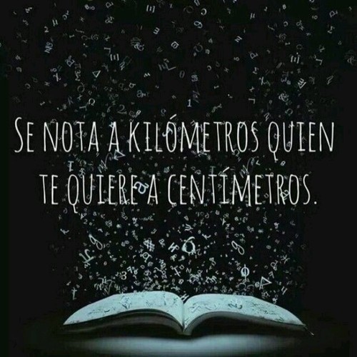 Un verano para Recordar ➰