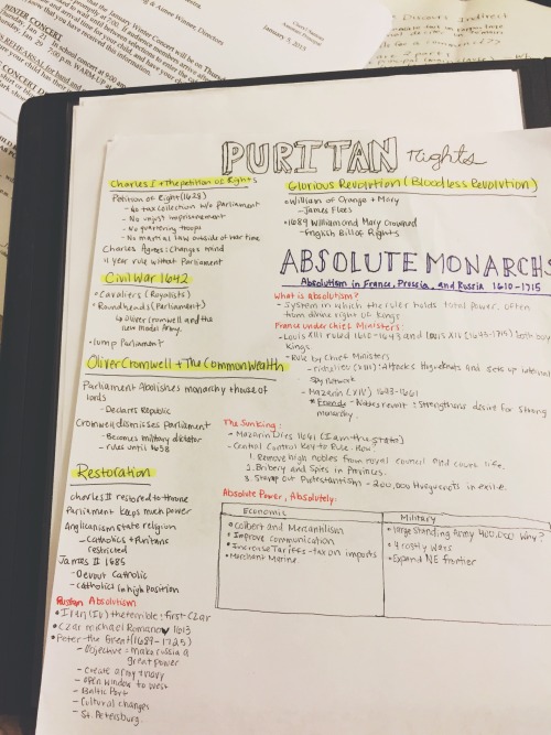 Pretty proud of these world history notes.