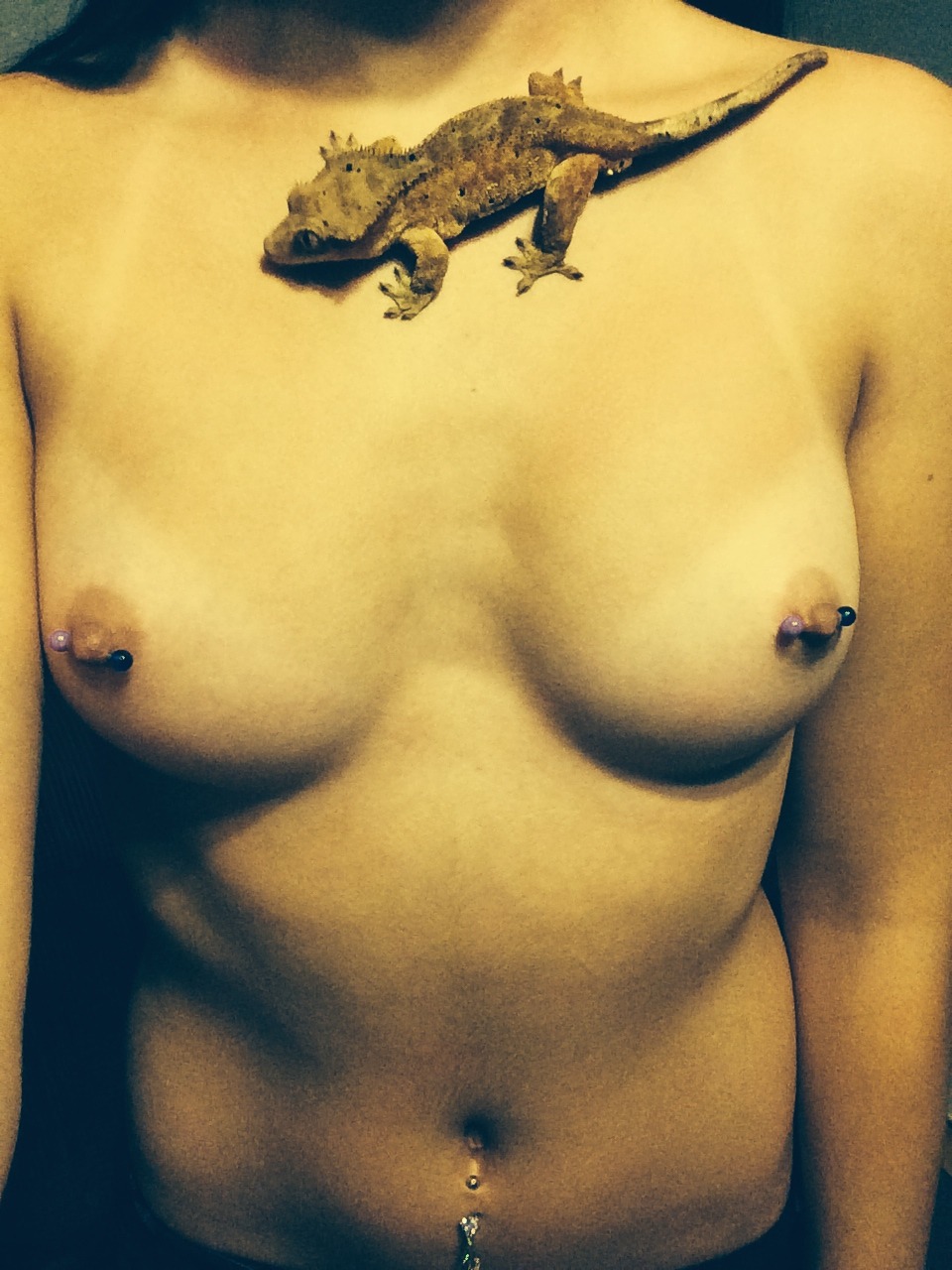 piercednipples: Oh, I love this fantastic submission by K. Thank you so much! And