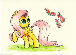 kitsclop:   Yellowquiet Butterpone by *kittyhawk-contrail   &lt;3