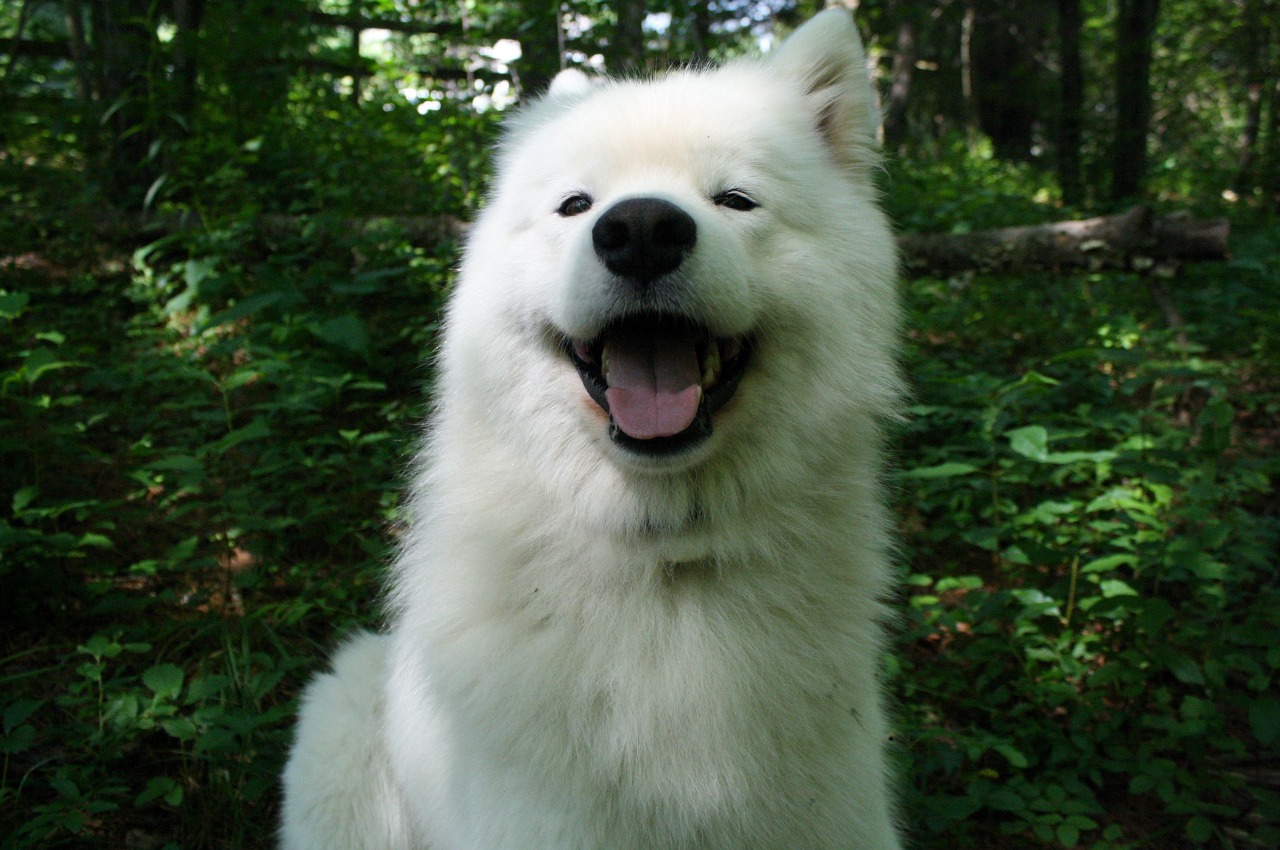 faunagrey:  ohhhh myyyyy god 