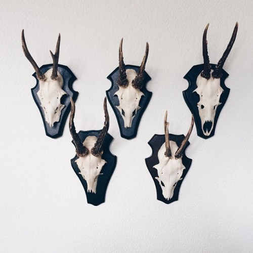 alex-quisite:  [via the absolute PHOTOGRAPHY blog…]