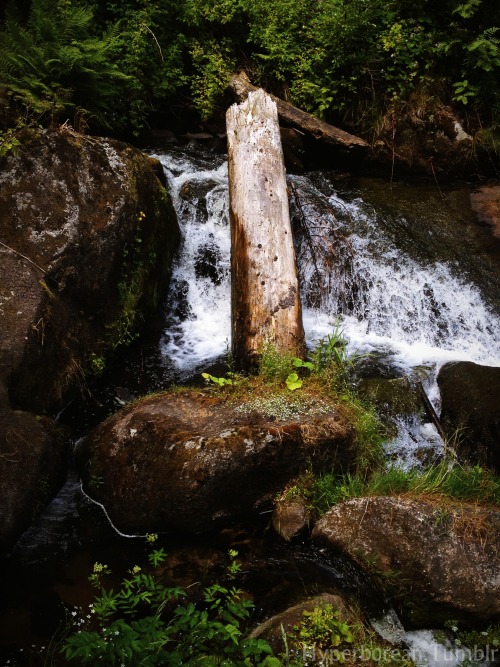 hyperb0rean:Die Triberger Wasserfälle, circa 1900 and in 2014, is one of the highest Waterfalls in G