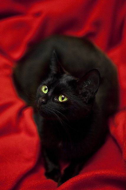 DARK&NESS..