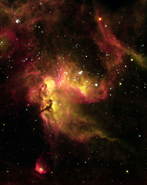 NGC 2081