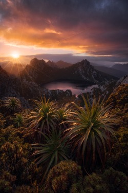 alecsgrg:Jurassic World | ( by Dylan Gehlken )