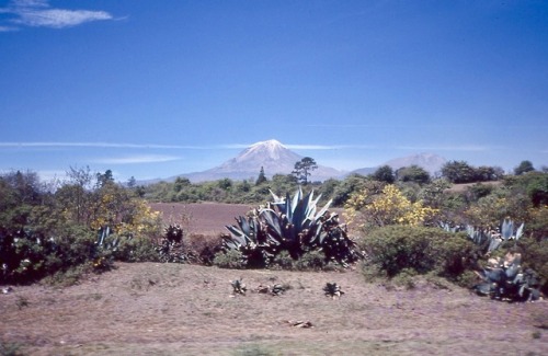 Paisaje mexicano con dos volcanes, desde un auto en movimiento, 1990. Not sure where this is or whic