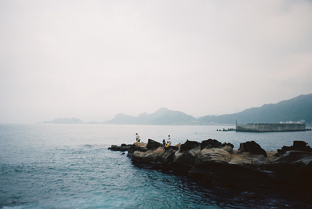 expressions-of-nature