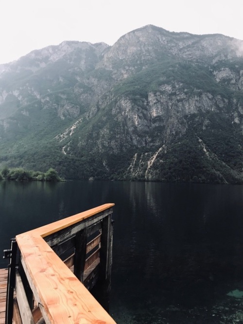 trustre:Bohinjsko jezero, Slovenia | more