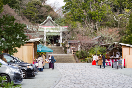 shrine and temple