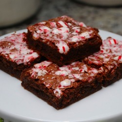 chronic-mastication:  Chocolate peppermint brownie : appreciation : 1 / 2 / 3 / 4 / 5 / 6 / 7 / 8 / 9