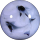 lakemichiganbaby-moved-deactiva:tbh i feel like ppl are like “shy” abt giving small amounts but most ppl will probably really appreciate even a 2 or 3 dollar donation on mutual aid posts and if more people had the mindset of oh, let me give