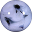 lakemichiganbaby-moved-deactiva:tbh i feel like ppl are like “shy” abt giving small amounts but most ppl will probably really appreciate even a 2 or 3 dollar donation on mutual aid posts and if more people had the mindset of oh, let me give