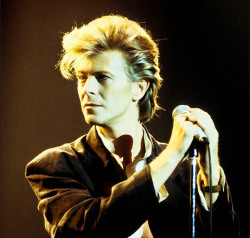 soundsof71:  David Bowie in Toronto, 1987,