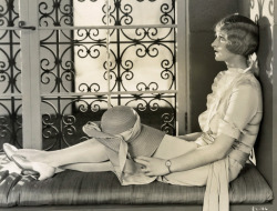 Sydneyflapper:  Natalie Kingston, A Wampas Baby Star Of 1927 
