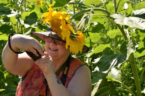 Sunflower adventures with @kelly_out_n_about - at Laura’s Farm Stand - Cookstown, Ontario http